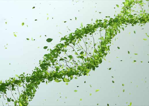 DNA strand on a green background